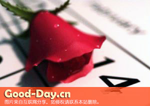 õ˽ڵҵ