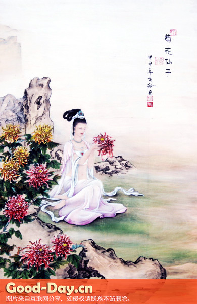 菊花仙子杨佳翰绘画
