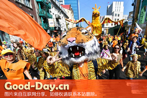 俄罗斯民众庆祝老虎日